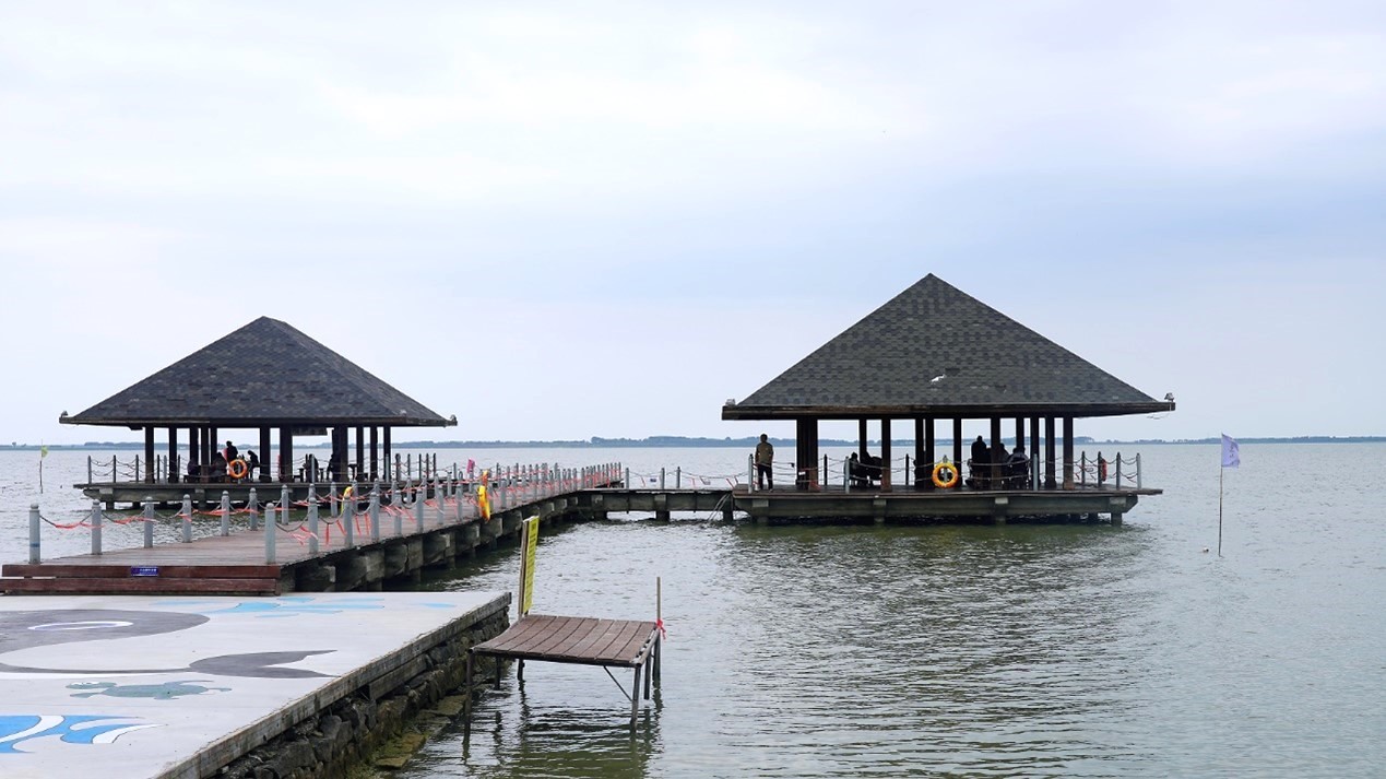 1725522414455772.jpg 1725522414455772.jpg